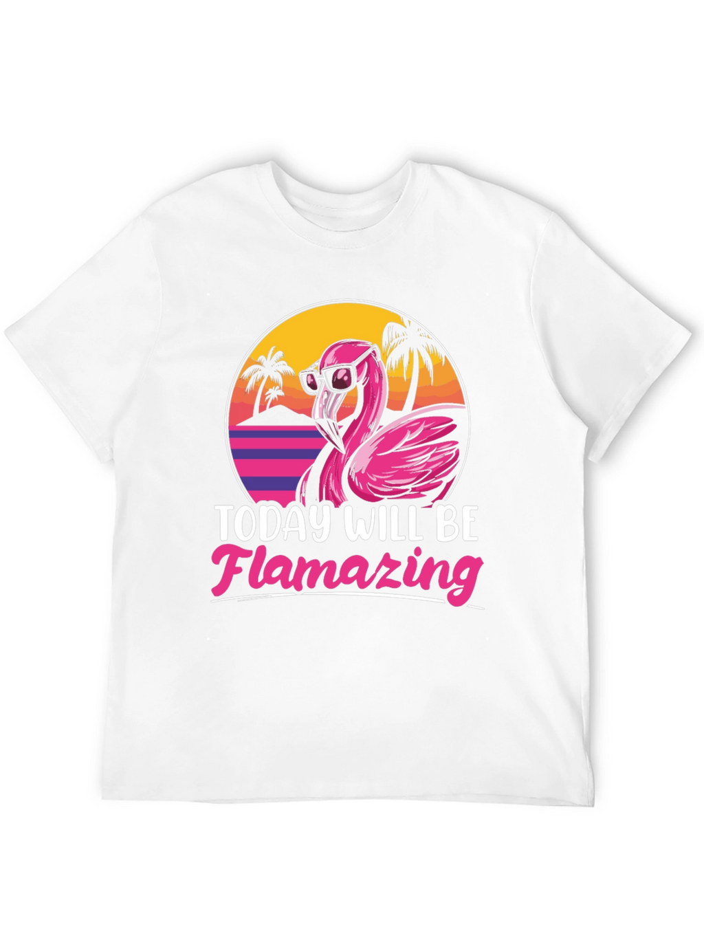 Flamingo Graphic T-Shirt - Today Will Be Flamazing
